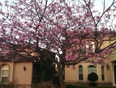 About Lakewood CA